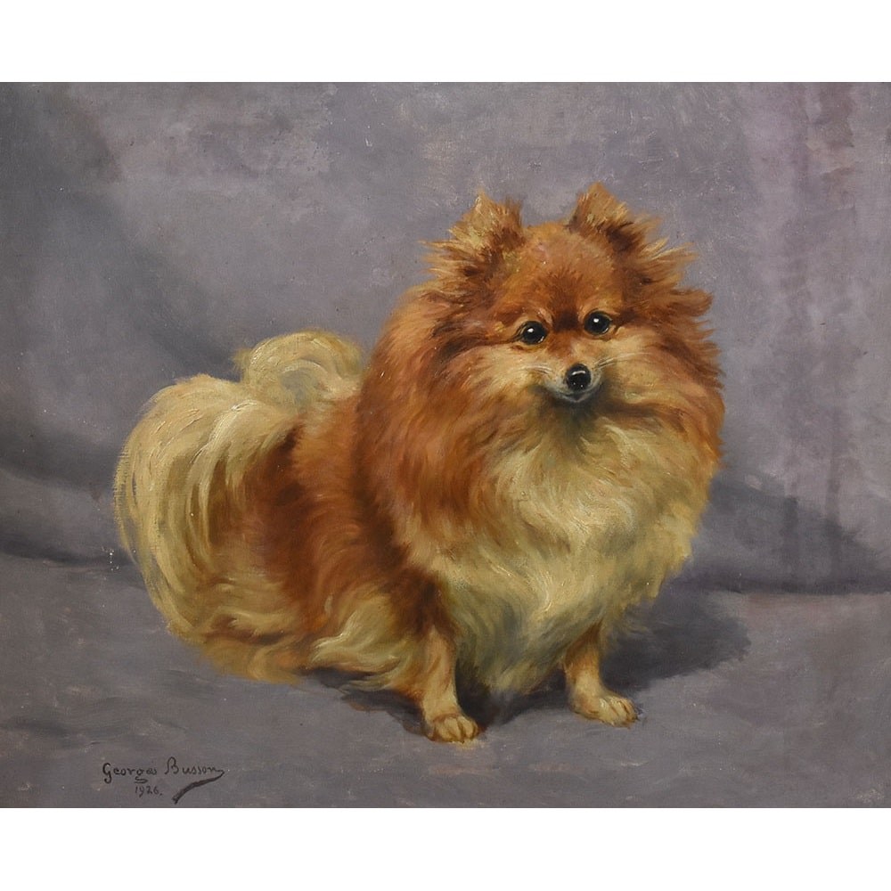 QA587 1  antique oil painting dogs portraits painting XX century.jpg